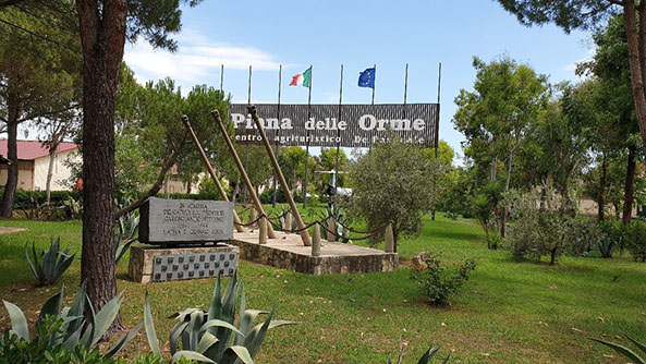 Parco Sigurtà estate