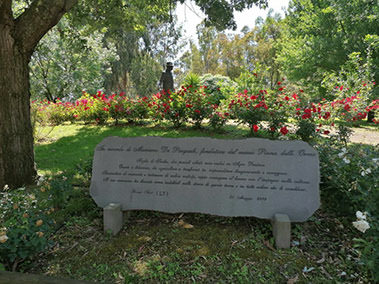 Parco Sigurtà viale delle rose