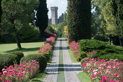 Parco Sigurtà viale delle rose